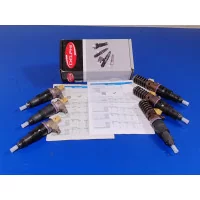 Volvo FH4 Fuel Injectors...